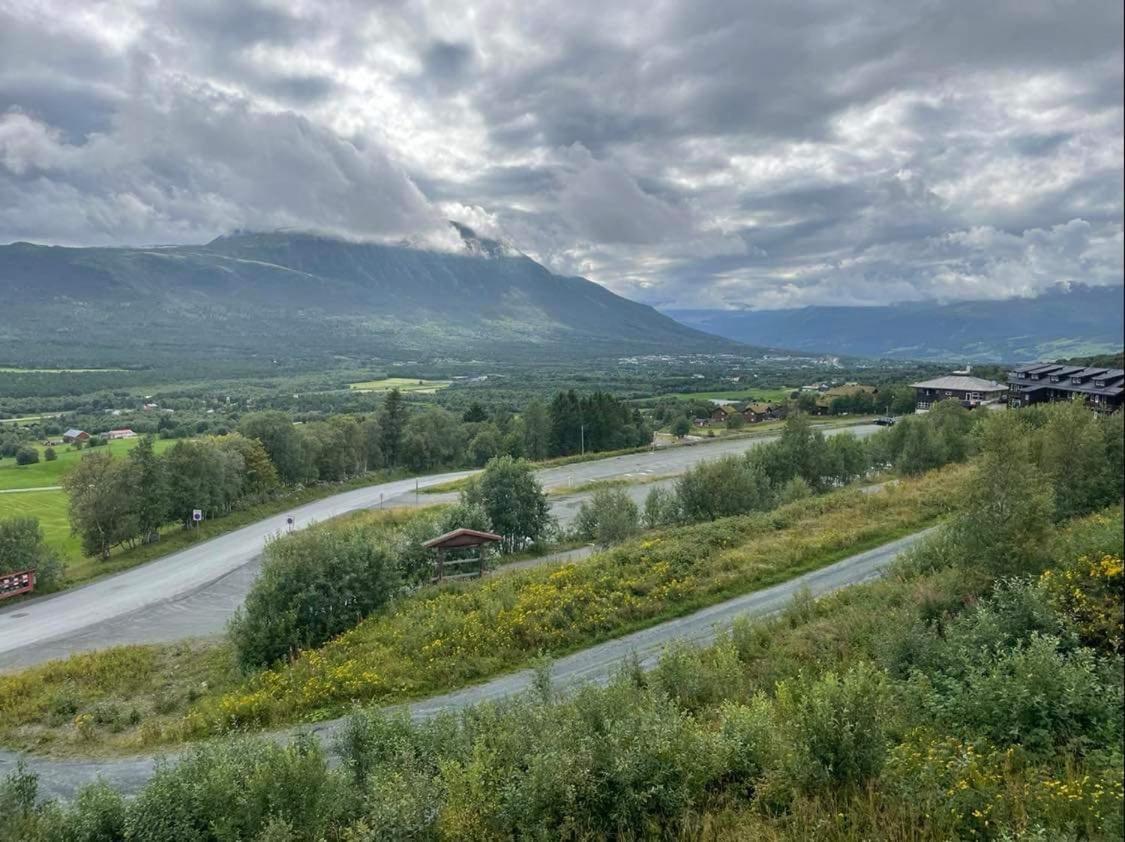 Privat Apartment With Beautiful View And Two Bedrooms Oppdal Εξωτερικό φωτογραφία